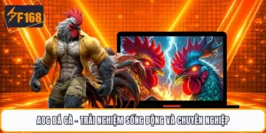 Aog Đá Gà - Trải Nghiệm Sống Động Và Chuyên Nghiệp
