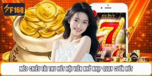 Mèo Chiêu Tài Thu Hút Hội Viên Nhờ Nhịp Quay Cuốn Hút
